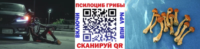 Псилоцибиновые грибы Magic Shrooms хочу Правдинск