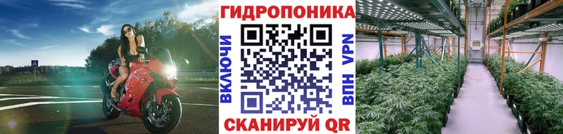 Конопля THC 21%  цены   Правдинск 